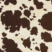 Image result for Real Cow Print