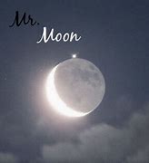 Image result for Mr Moon Song