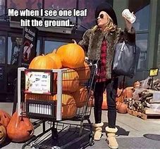 Image result for Basic Fall Girl Meme