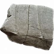 Image result for Turtle Shell Fossil