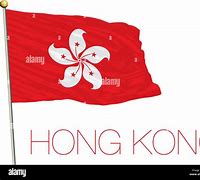 Image result for Hong Kong Flag Rectangular