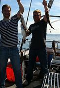 Image result for Mackerel Fishing