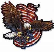 Image result for American Eagle Holding Gun