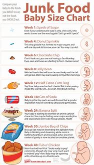 Image result for Pregnancy Baby Size Chart