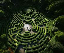 Image result for Maze From Above