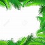 Image result for Free Jungle Border Clip Art