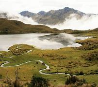 Image result for Tropical Andes