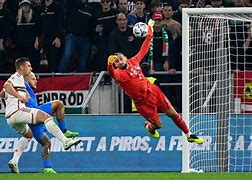 Image result for Donnarumma Euros