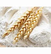 Image result for Wheat Flour