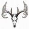 Image result for Deer Skull Icon