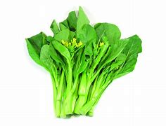 Image result for Choy Sum