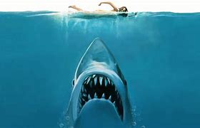 Image result for Images of Jaws