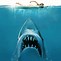 Image result for Jaws No Shark