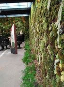 Image result for Moss Sculpture