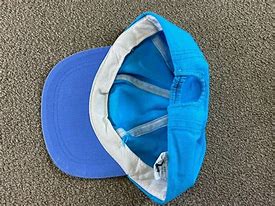 Image result for Barney Blue Top Hat