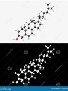 Image result for Cholesterol Molecule with Hydrogen