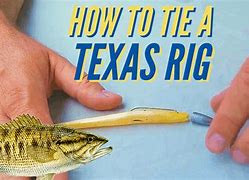 Image result for How to Tie a Texas Rig