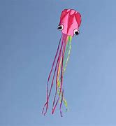 Image result for Animal Inflatable Kite