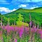 Image result for 8 Pixel Art