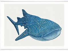 Image result for Whale Shark Art