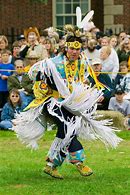 Image result for Iroquois Colors