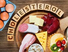 Image result for Foods Causing High Cholesterol