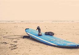 Image result for Log Surfboard