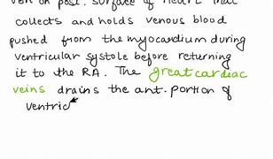 Image result for Atrioventricular Coronary Sulcus