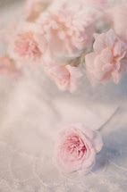 Image result for Cute Pastel Pink Aesthetic Flowers