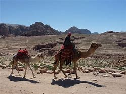 Image result for Large Horse Caravan Middle East