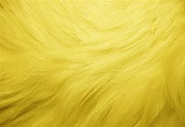 Image result for Yellow Fur Texture