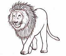 Image result for lion kitten drawing