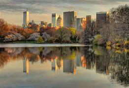 Image result for Central Park New York Summer Heat