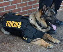 Image result for German Shepherd K9 Unit