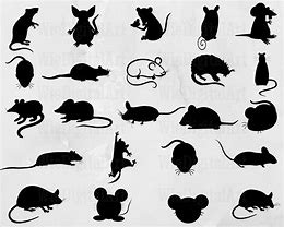 Image result for Money Rat SVG