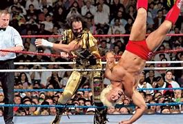 Image result for Wrestlemania 8 Savage