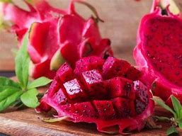 Image result for Buah Naga Merah Anima Si