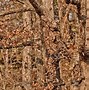 Image result for Realtree Camo Deer