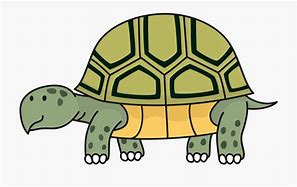 Image result for Gopher Tortoise Art