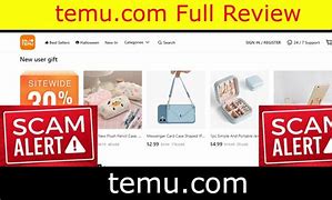 Image result for Temu Flyer