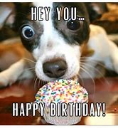 Image result for Absurd Birthday Wishes