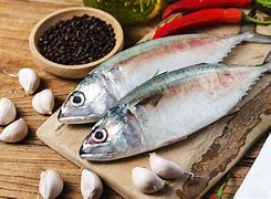 Image result for Ikan Termenung