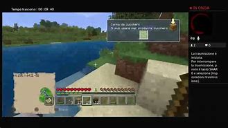 Image result for Minecraft Poi