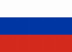 Image result for Russia Flag Icon