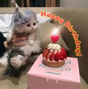 Image result for Cat Happy Birthday Puzzles