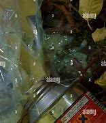 Image result for Glue-Sniffing in a Paper Bag