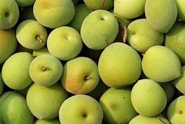 Image result for Chinese Green Plum