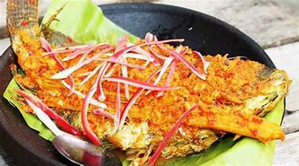 Image result for Ukuran Rayyak Ikan