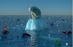 Image result for Polar Bear Global Warming