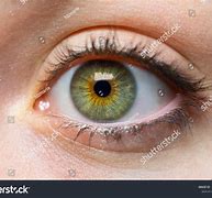 Image result for 10 Green Eyes